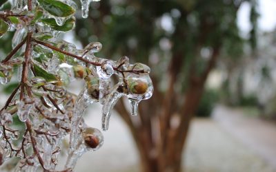 meteo-1.jpg - StiriAlese