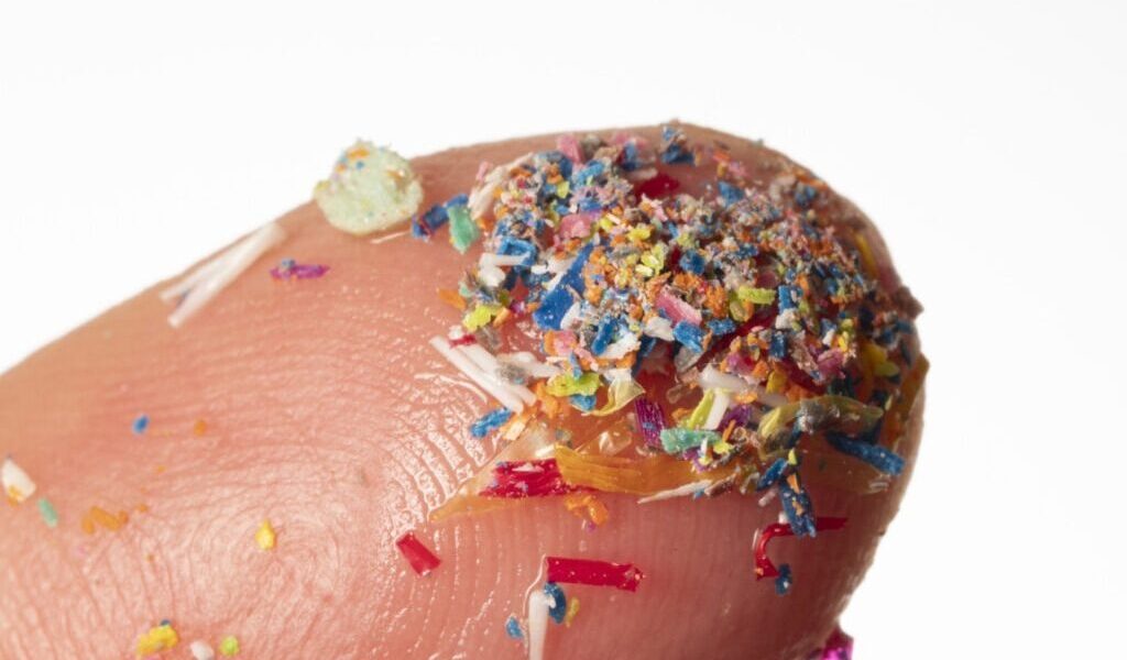 microplastice-e1724489538371.jpg - StiriAlese