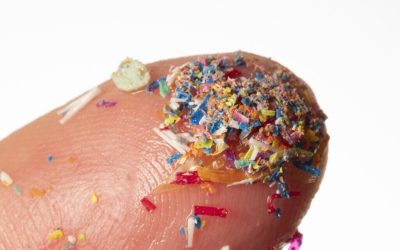 microplastice-e1724489538371.jpg - StiriAlese