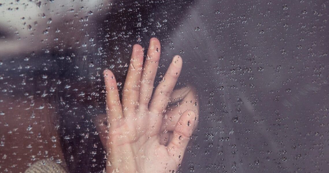 milada-vigerova-kT0tsYZ2YE0-unsplash-e1717931877253.jpg - StiriAlese