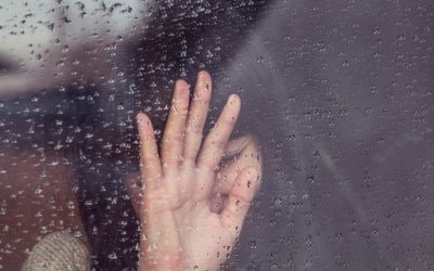 milada-vigerova-kT0tsYZ2YE0-unsplash-e1717931877253.jpg - StiriAlese