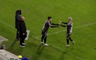 morutan.png - StiriAlese