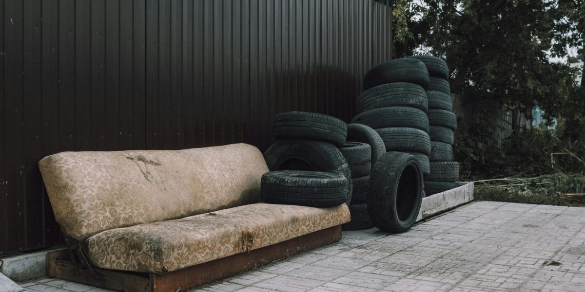 nick-sorockin-llhSSLv6E1A-unsplash-scaled.jpg - StiriAlese