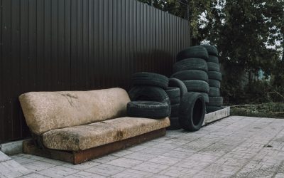 nick-sorockin-llhSSLv6E1A-unsplash-scaled.jpg - StiriAlese