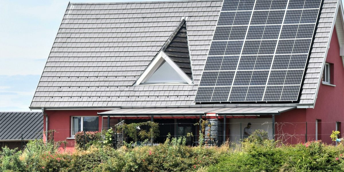 pexels-daniele-la-rosa-messina-1626789-17893477-scaled.jpg - StiriAlese