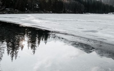 pexels-eberhard-grossgasteiger-2086267.jpg - StiriAlese