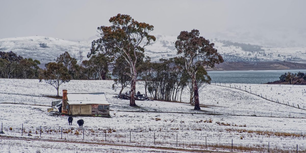 pexels-mark-thomas-2149938474-30979871.jpg - StiriAlese