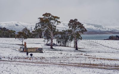 pexels-mark-thomas-2149938474-30979871.jpg - StiriAlese