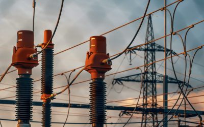 pexels-michael-pointner-134459625-28912010-scaled.jpg - StiriAlese