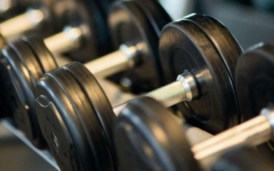 pexels-pixabay-260352-e1763814080655.jpg - StiriAlese