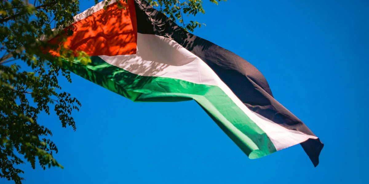 pexels-pok-rie-19322197.jpg - StiriAlese