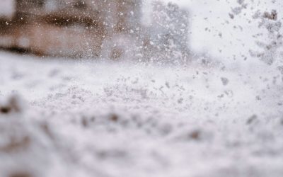 photo-1564260508434-ba6958a4c468-1600x1158-1.jpeg - StiriAlese