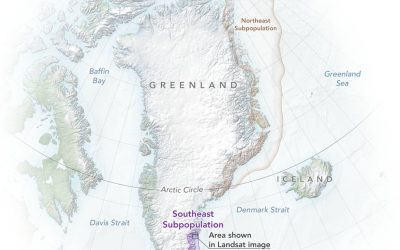 polarbears_greenland_map_2022_lrg.jpg - StiriAlese