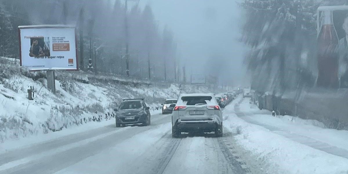 poza-art.jpeg - StiriAlese