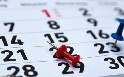 profimedia-0469512770-1.jpg - StiriAlese