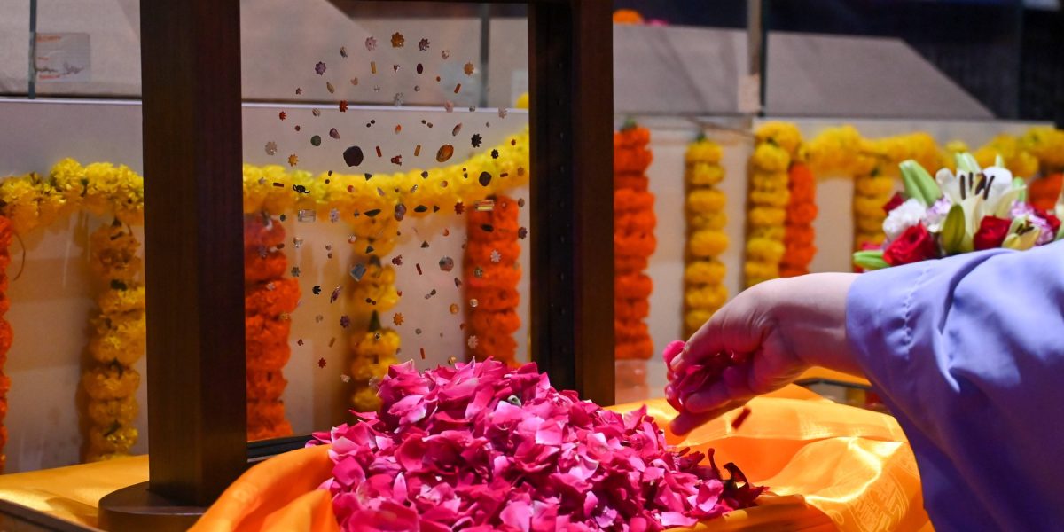 profimedia-1026803337.jpg - StiriAlese