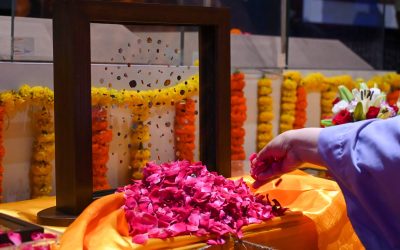 profimedia-1026803337.jpg - StiriAlese