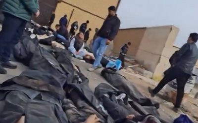 profimedia-1065950410.jpg - StiriAlese