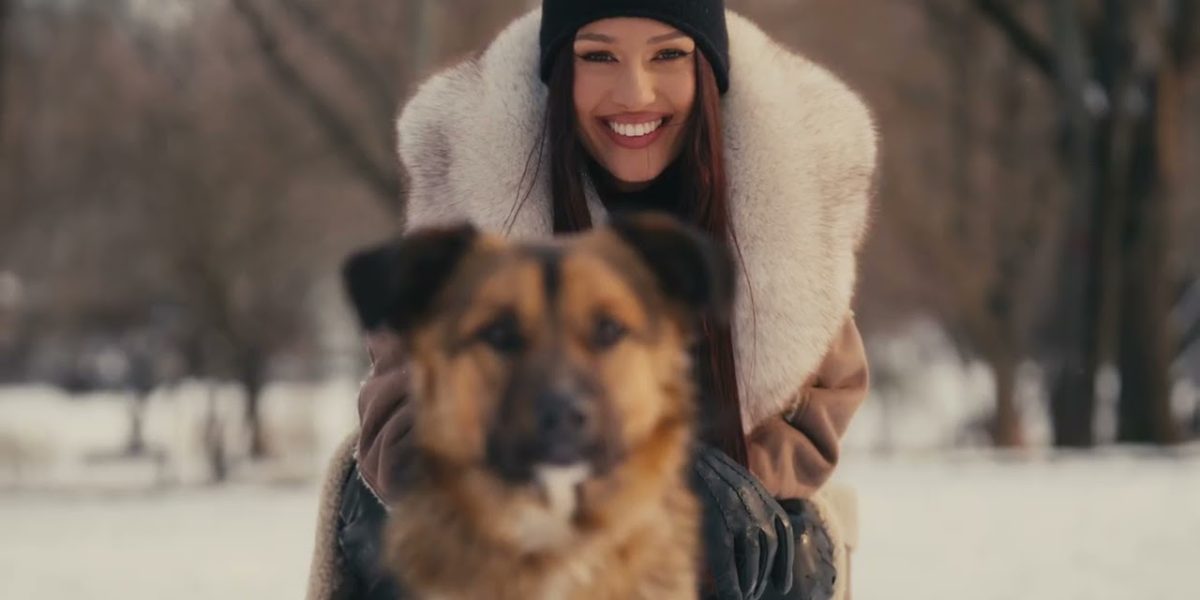 scl2UJnbk9Q-HD.jpg - StiriAlese