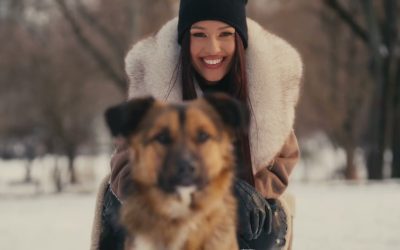 scl2UJnbk9Q-HD.jpg - StiriAlese