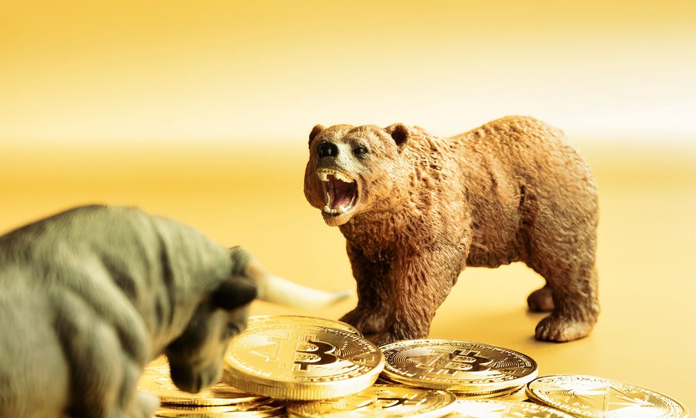 shutterstock_1982668922.jpg - StiriAlese