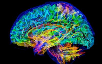 simulare-creier-uman-supercomputer.jpg - StiriAlese