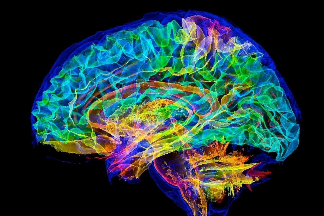 Cercetătorii europeni sunt mai aproape ca niciodată de a realiza un obiectiv considerat până acum a fi pur science-fiction: simularea completă a creierului uman pe un supercomputer, o realizare ce ar putea revoluționa neuroștiința și tehnologia în următorii ani