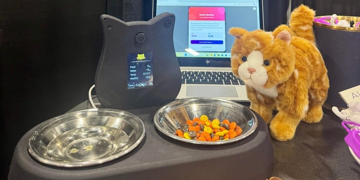 statie-pisici-ai-tails.jpg - StiriAlese