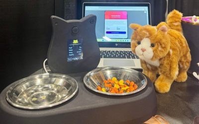 statie-pisici-ai-tails.jpg - StiriAlese