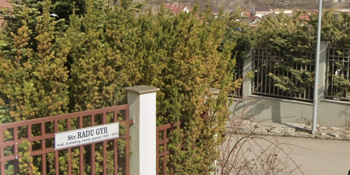 strada-radu-gyr.jpg - StiriAlese