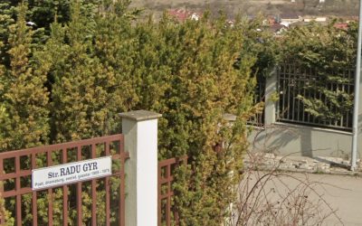 strada-radu-gyr.jpg - StiriAlese