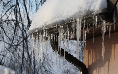 turturi.jpg - StiriAlese