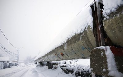 viscol.jpg - StiriAlese