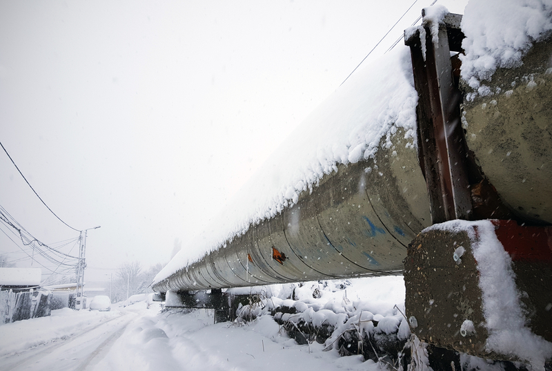 viscol.jpg - StiriAlese