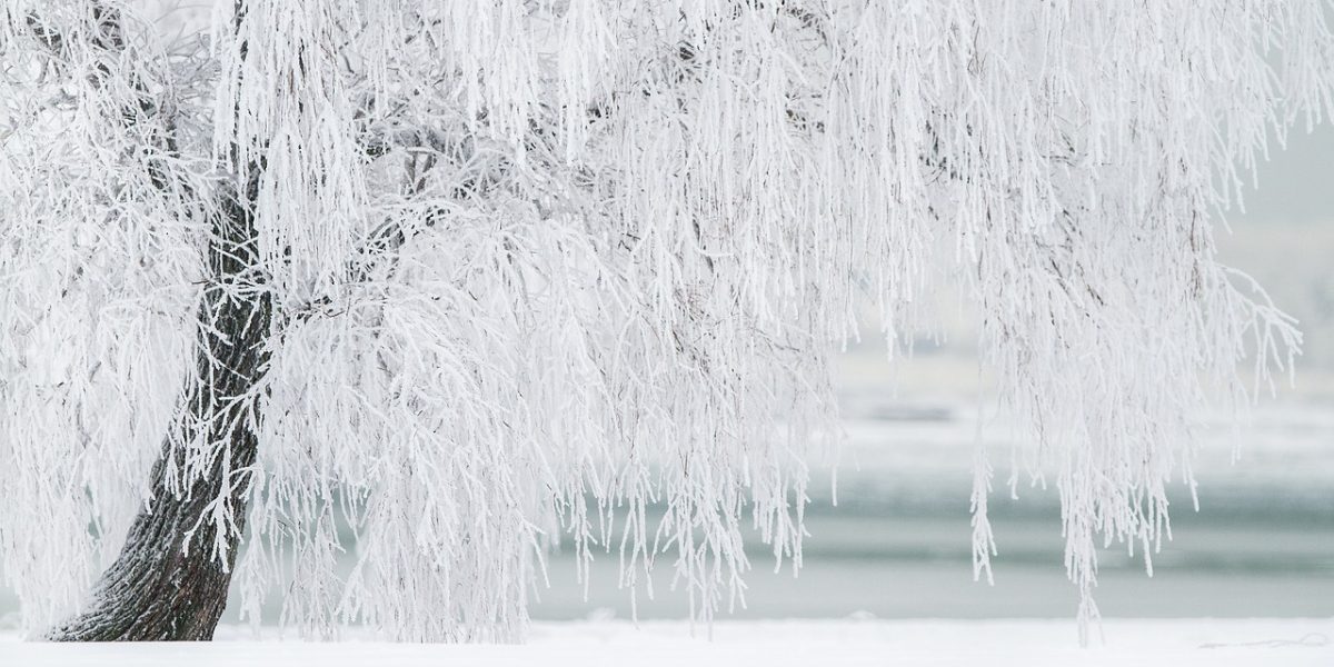 winter-1367153_1280.jpg - StiriAlese