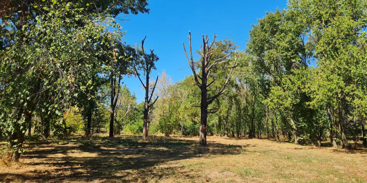 02-01-05_20250923_124228-scaled.jpg - StiriAlese