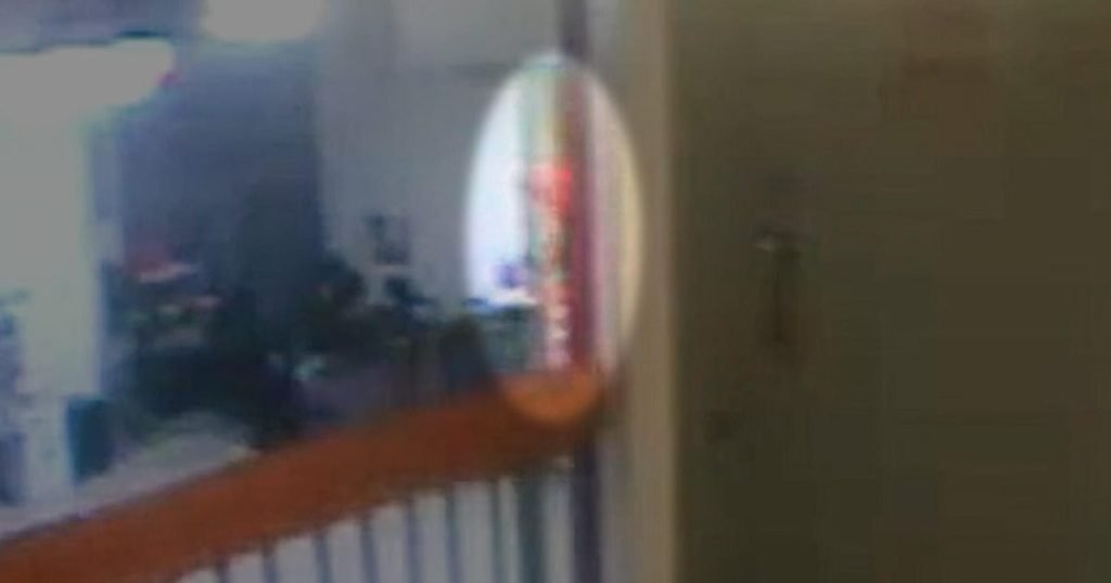 VIDEOLOGURI ȘOCANTE: Cine a intrat în celula lui Epstein în noaptea morții?