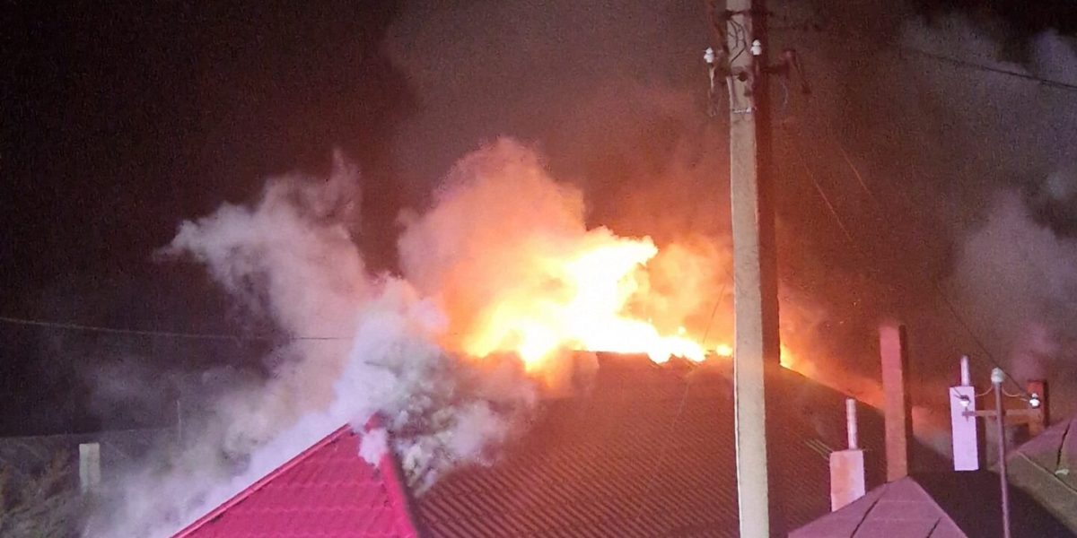 1000101615-scaled.jpg - StiriAlese