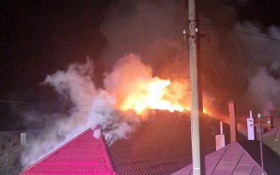 1000101615-scaled.jpg - StiriAlese