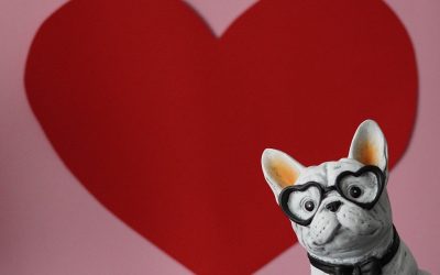 13-19-februarie_pixabay.jpg - StiriAlese