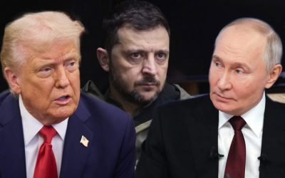 13314496148912559787.jpeg - StiriAlese