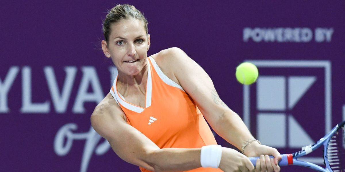 15edfa77-75fd-4f00-842d-fa88087f7b8e.jpg - StiriAlese