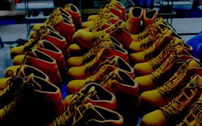 2013_agdesy_4.jpg - StiriAlese