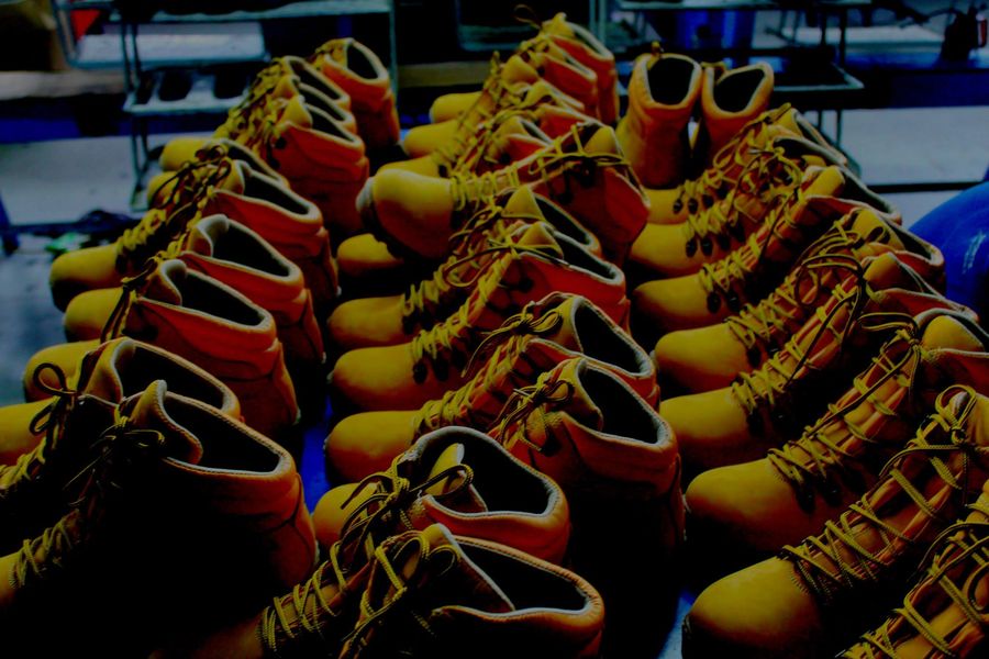 2013_agdesy_4.jpg - StiriAlese