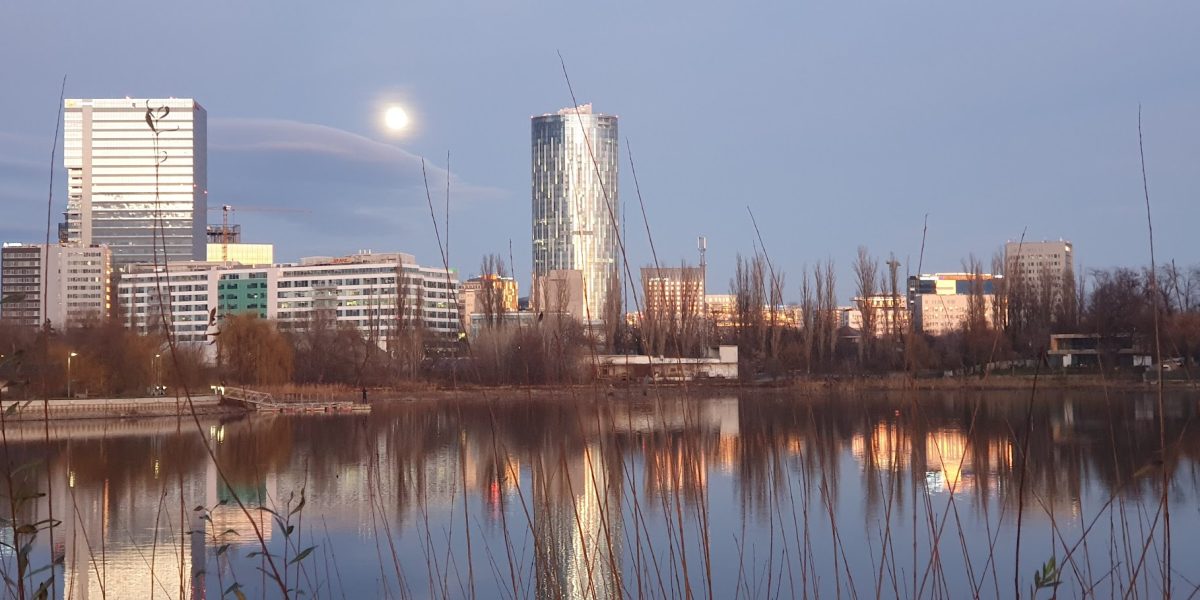 20201229_170227.jpg - StiriAlese