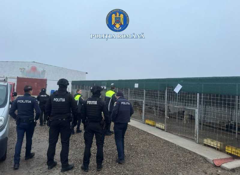 20260214144636_396311.jpg - StiriAlese