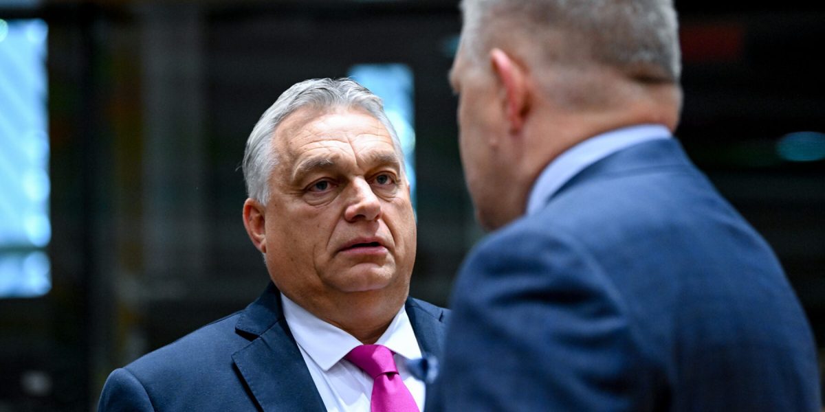 241cae23-1980-4ab2-90d1-f351ad0a1a59-e1702475590659.jpg - StiriAlese