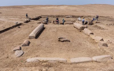 279212255_357560693072150_6526251018744644954_n-e1650962328833.jpg - StiriAlese