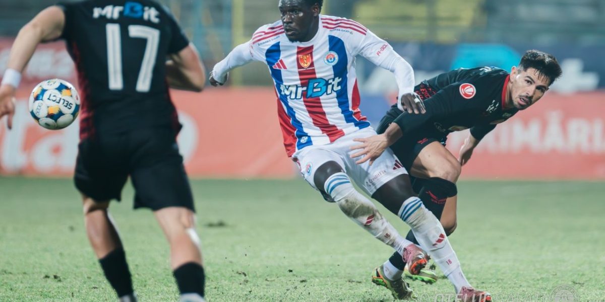 27ddc3d1-bf57-4ee4-88c2-125e3ef70367.jpg - StiriAlese