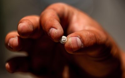 32KW7GZ-highres.jpg - StiriAlese